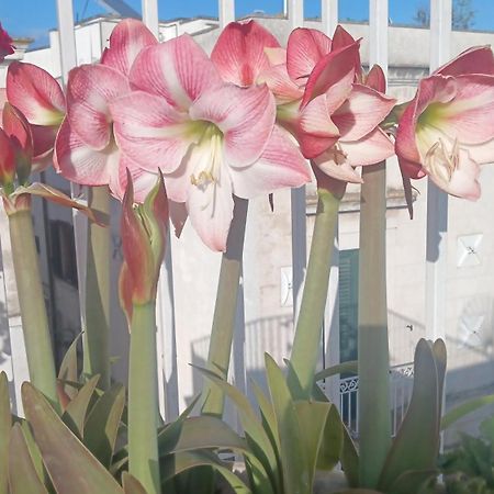 ホテル La Chicca Di C.Cavour オストゥーニ エクステリア 写真